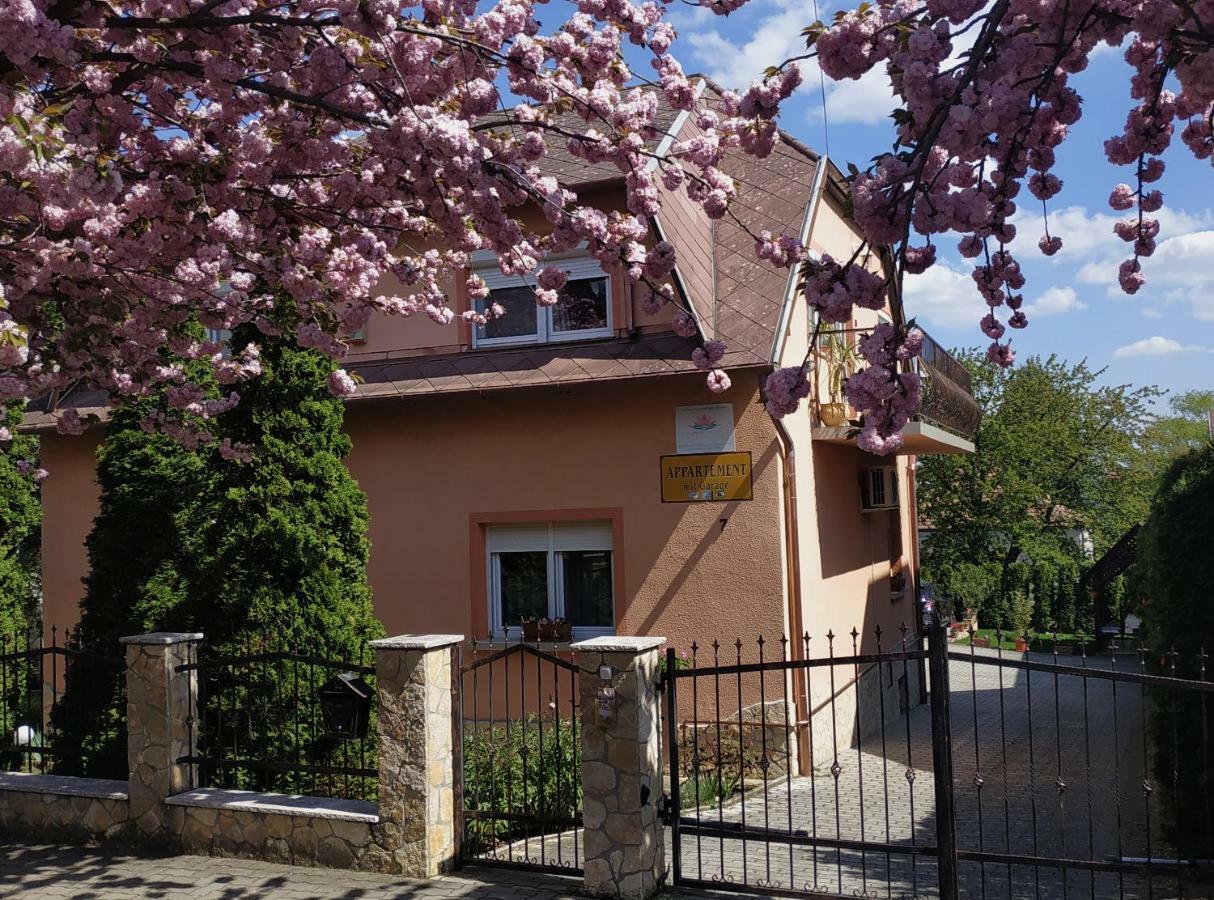 Szecsenyi Apartman Hévíz Exterior foto